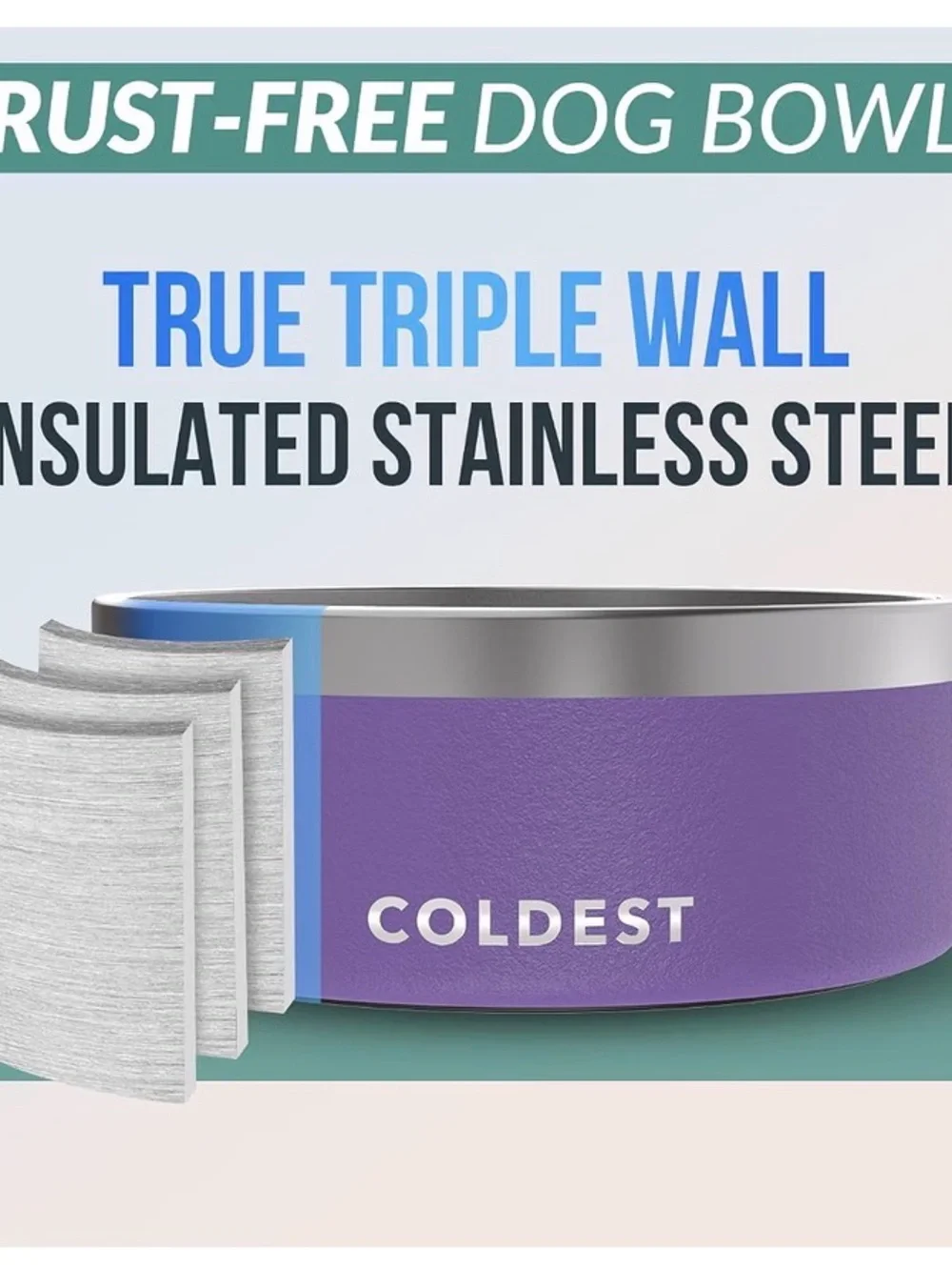 Purple Stainless Steel Dog Bowl — Non-Slip Pet Feeder